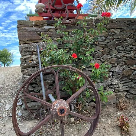 Andar Moradia T4 Na Casa Do Olival São João da Pesqueira