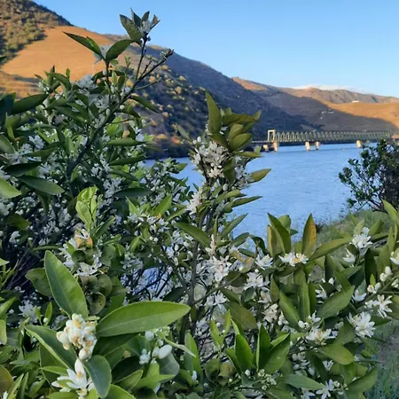 Σπίτι διακοπών Andar Moradia T4 Na Casa Do Olival São João da Pesqueira