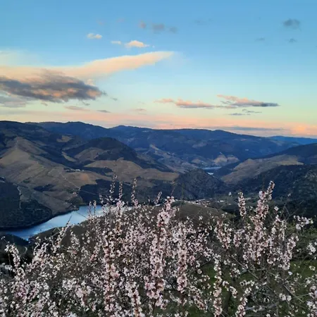 Andar Moradia T4 Na Casa Do Olival * São João da Pesqueira