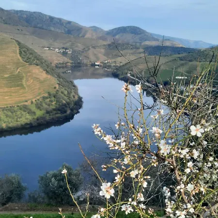 Andar Moradia T4 Na Casa Do Olival Σπίτι διακοπών São João da Pesqueira