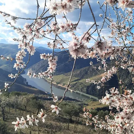 Andar Moradia T4 Na Casa Do Olival