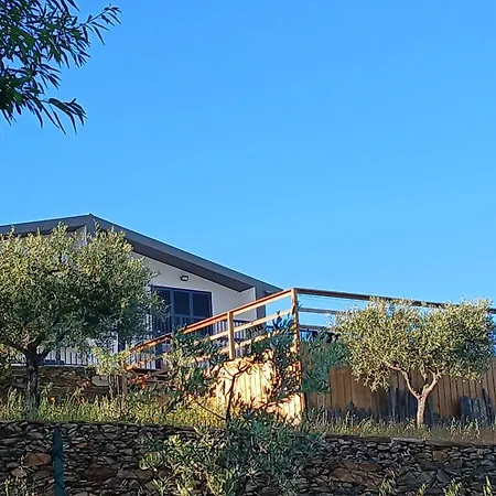 Casa Do Olival - T4 בית נופש São João da Pesqueira