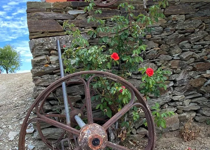 Andar Moradia T4 Na Casa Do Olival São João da Pesqueira