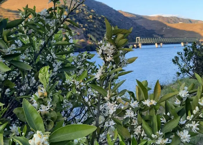 Semesterbostad Andar Moradia T4 Na Casa Do Olival São João da Pesqueira