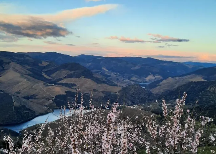 Andar Moradia T4 Na Casa Do Olival * São João da Pesqueira