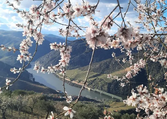 Andar Moradia T4 Na Casa Do Olival