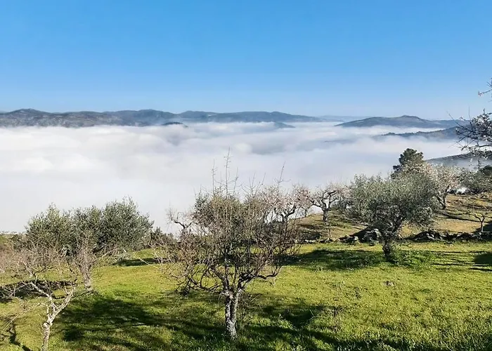 Feriehus Andar Moradia T4 Na Casa Do Olival